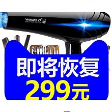 大小功率吹風機家用髮型師專用冷熱風理髲店吹風機髮廊負離子護髮 歷史價格詳細信息