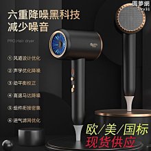 錘子電吹風家用髮廊風筒英規230v負離子風筒大功率吹風機 歷史價格詳細信息