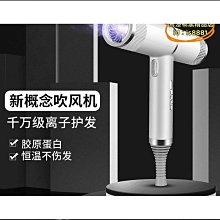 吹風機家用吹頭髮的大風力不傷發超靜音理髮店大功率髮廊電吹風筒 歷史價格詳細信息