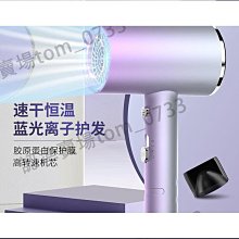 ●吹風機 負離子 110V 電吹風 美規吹風機 護髮傢用 日規電吹風筒電吹風 吹風筒 歷史價格詳細信息