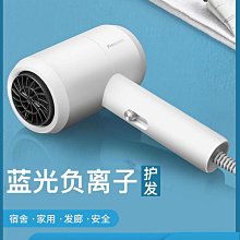 吹風機家用大功率負離子護髮學生宿舍用電吹風理髮店風筒ZB68 歷史價格詳細信息