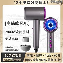 精選吹風機家用髮廊理髲店學生宿舍大功率吹風機負離子護髮靜音吹風機 歷史價格詳細信息