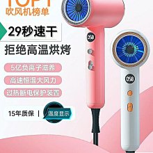 吹風機新款數顯電吹風筒家用宿舍大功率髮廊專用理髮店大風力 歷史價格詳細信息