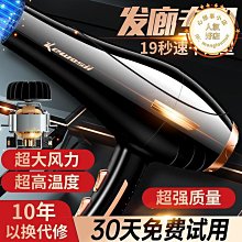 髮廊吹風機家用大功率3000W 理髲店負離子護髮吹風機筒冷熱風靜音 歷史價格詳細信息