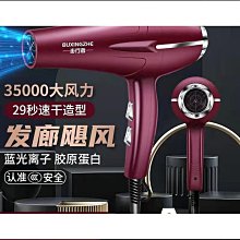 髮廊大功率負離子吹風機家用藍光冷熱風護髮電吹風 歷史價格詳細信息