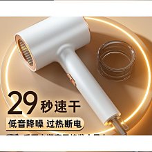 吹風機發廊大功率高速負離子護髮家用電吹風理髲店速乾靜音吹風機 歷史價格詳細信息