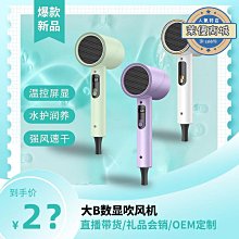 新款電吹風機家用護髮專用大功率宿舍用旅遊便攜可摺疊吹風筒 歷史價格詳細信息