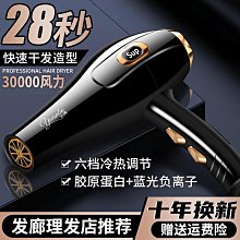 精選吹風機家用髮廊理髲店學生宿舍大功率吹風機負離子護髮靜音吹風機 歷史價格詳細信息