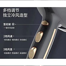 電吹風機髮廊專用家用大功率理髮店負離子恆溫吹風筒 歷史價格詳細信息
