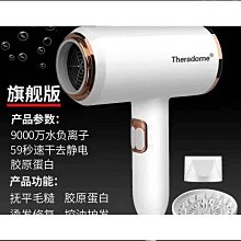 Theradome髮廊吹風機家用大功率理髮店負離子護髮冷熱風電吹風筒 歷史價格詳細信息