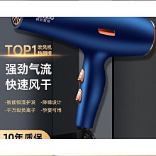 【匠心】吹風機筒家用大功率9000髮廊理髲店專用強力3000W負離子護髮鼓 歷史價格詳細信息