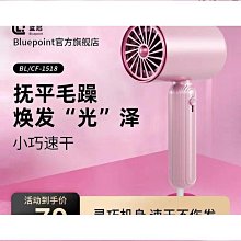 德國家用電吹風機恆溫低噪速乾負離子護髮大功率髮型師專用 歷史價格詳細信息