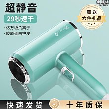 吹風機吹頭髮家用大風力髮廊專用三插頭大功率負離子護髮電吹風筒 歷史價格詳細信息