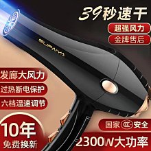 飛利浦吹風機家用電吹風筒大功率速幹恒溫護發2100档風控HP8230 歷史價格詳細信息