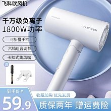 飛科吹風機家用大功率負離子護髮大風力速乾電吹風學生宿舍用吹風機 歷史價格詳細信息
