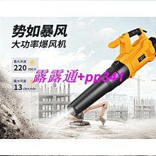 暴造機器無線洗車機 無刷家用高壓水槍diy電動車220v大功率 歷史價格詳細信息