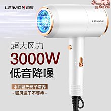 飛科髮廊大功率3000W吹風機家用理髲店大風力學生宿舍冷熱風靜音 歷史價格詳細信息