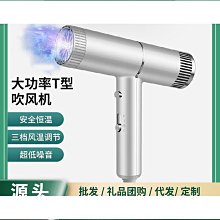家用t型吹風機 多配件恆溫風筒 戴負離子功能 新款森 歷史價格詳細信息