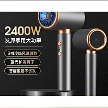 家用大功率吹風機髮廊專業造型電吹風恆溫護髮吹風筒 歷史價格詳細信息
