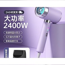 高速電吹風機家用大風力負離子護髮靜音速幹髮廊專用大功率吹風筒 歷史價格詳細信息