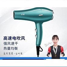 負離子吹風機大功率柔順護髮電吹風機 mb-0501 白色 歷史價格詳細信息