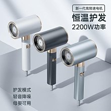 高轉速吹風機家用大風力功率速幹吹風筒負離子護髮電吹風 歷史價格詳細信息