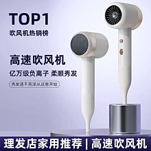 新款吹風機家用冷熱電吹風酒店髮廊專用大功率吹風筒 歷史價格詳細信息