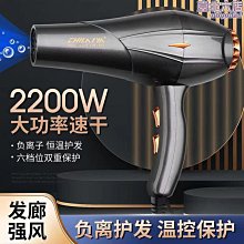 新款髮廊大風吹風機冷熱不傷發藍光負離子電吹風筒家用大功率速幹 歷史價格詳細信息