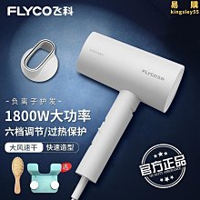 飛科家用可折曡電吹風機大功率速幹負離子護發學生宿舍專用吹風筒 歷史價格詳細信息