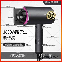 吹風機 大風量吹風機 專業吹風機 沙龍級吹風機 負離子吹風機 髮廊電吹風筒 歷史價格詳細信息