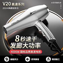 德國新款髮廊吹風機家用大功率靜音理髲店負離子護髮吹風機 歷史價格詳細信息