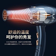 新款髮廊大風吹風機冷熱不傷發藍光負離子電吹風筒家用大功率速幹 歷史價格詳細信息