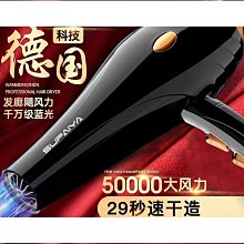 德國吹風機家用大功率冷熱風靜音網紅款負離子護發不傷發電吹風筒不銹鋼吹風機 吹風機大風力 吹風機家用 吹風機可折疊 吹風機 歷史價格詳細信息