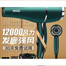 德系吹風機家用大功率髮廊專用理髲店2400W負離子護髮速乾吹風機 歷史價格詳細信息