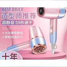 髮廊3000專業吹風機家用電吹風機大功率理髲店靜音冷熱風 歷史價格詳細信息