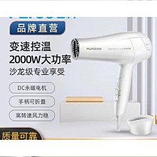 飛科吹風機大功率家用理髲店速乾負離子護髮吹風機學生宿舍用吹風機 歷史價格詳細信息