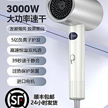 電吹風機家用大功率男士專用髮廊大風力護髮速幹吹風筒理髮店 歷史價格詳細信息