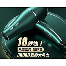 吹風機理髲店專用大功率3000w大風力家用負離子護髮吹風機 歷史價格詳細信息