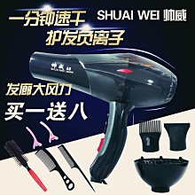 吹風機髮廊專用大風力家用負離子不傷發大功率速幹護髮電吹風 歷史價格詳細信息