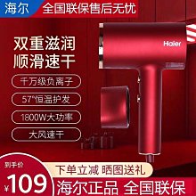 吹風機負離子家用護髮速幹大功率風力理髮店髮廊電吹風筒學生宿冉 歷史價格詳細信息