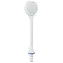 EW0955 EW-0955 國際牌沖牙機專用噴頭(一組二入) DJ40/EW1211皆可使用 歷史價格詳細信息