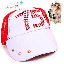 寵到底-寵愛物語Doter反光安全輕透胸背衣L號【六款顏色】胸背,胸背帶,牽繩,寵物外出,寵物項圈 歷史價格詳細信息