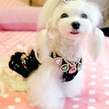 Bling 璀璨彩寶高級感鑲嵌鑽戒指女 開口藍寶石氣質高貴百搭抖音款-欣晴百貨 歷史價格詳細信息