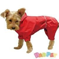 【防雨淋】4K警用密錄器 隨身秘錄器 高畫質運動攝影機 機車行車記錄器 機身熒幕播放 手機直連 外送員錄影機 戶外監視器 歷史價格詳細信息