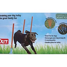 ☆汪喵小舖2店☆ 【免運費】 CHARM野性魅力鱉蛋爆毛粉200克 // 含多種維生素、礦物質、全方位營養補充 歷史價格詳細信息