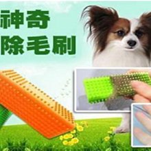美國神奇施魔梳Midi款-粉【康是美】 歷史價格詳細信息