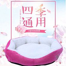小寵專用可掛式原木爬梯 倉鼠爬梯 倉鼠用品 倉鼠玩具 刺蝟黃金鼠金絲熊 運動玩具 天竺鼠車車 PUI 典贊創意 歷史價格詳細信息