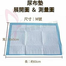 《箱購區》【無塵氏】擦拭拖地兩用布 12枚x12包 - 寵物居家 薰衣草 鳳梨酵素 茶樹 檸檬柑橘 歷史價格詳細信息