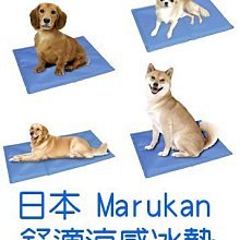 ☆米可多寵物精品☆日本寵倍家joypet 寵物排泄訓練墊(犬貓用)48入24入二款 歷史價格詳細信息