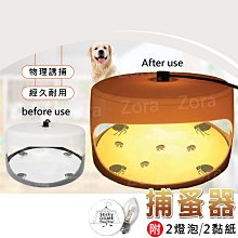 ⭐️柔拉⭐️除蚤燈 跳蚤 捕跳蚤 除蚤 除蚤器 除蚤用品 除蚤神器 寵物除蟲 驅蟲 跳蚤燈 跳蚤用品 補 價格比較,價格查詢,歷史價格詳細信息